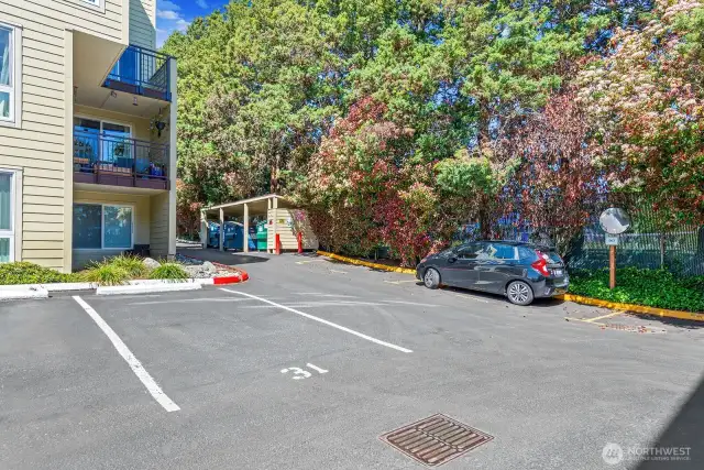Parking spot #31