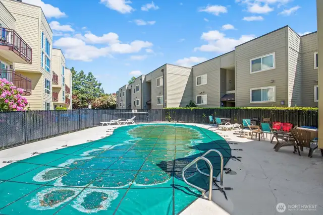 Swimming Pool for summer fun