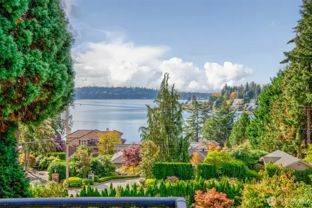 View from Deck