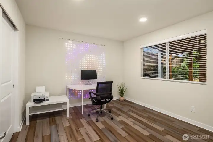 Lower level 5th bedroom