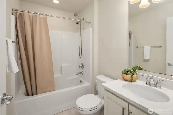 Lower level full bathroom.