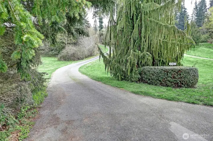 Entry to property between the two trees.  Drive on up the gentlly sloped paved driveway.  Hey...this driveway is for only this home at 4193 South Camano Drive.