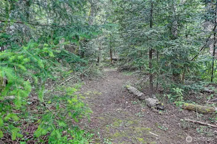 Woodland trail path meanderers through the back portion of the property.