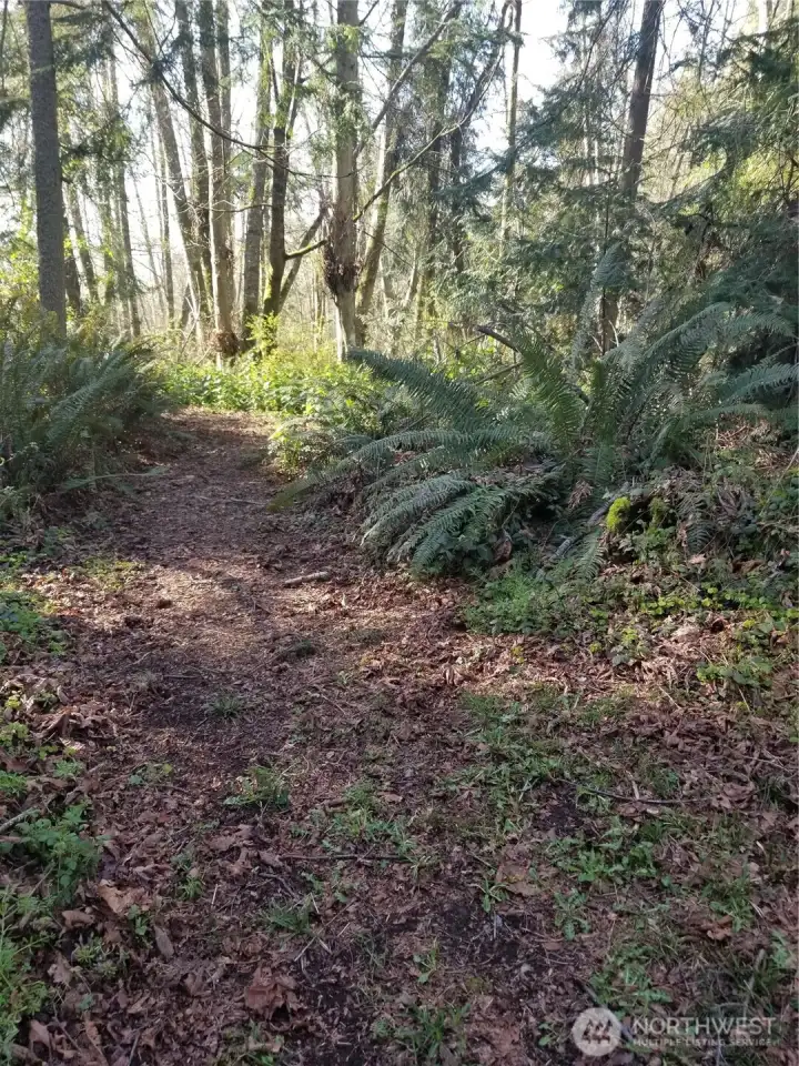 A nature trail on your own property.  It's pretty!  If you fall in love with Camano  you are going to love this.