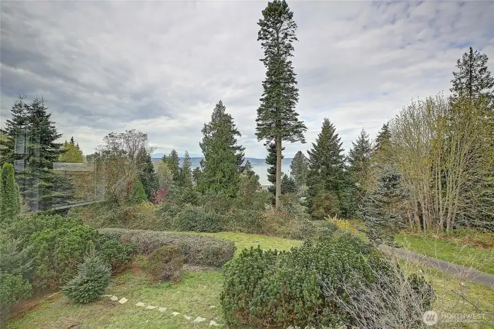 Trees...shrubs...greenery galore.