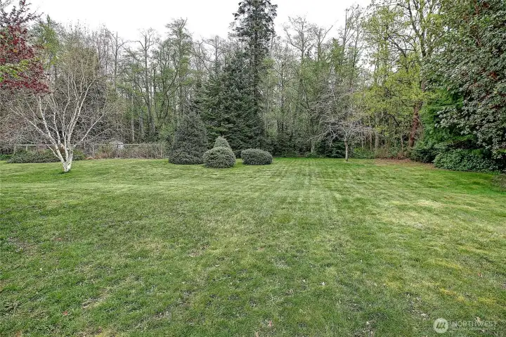 Picnic in your own yard...put up the volleyball net or play badminton!  Install a putting green.?