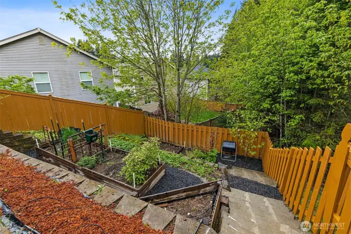 In the backyard you will find these INCREDIBE, terraced gardens! HOA property behind and to your right, so peaceful, quiet and private back here. Sellers report everything grows like crazy here!