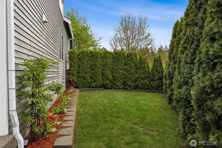 View of the left side of your backyard, more room to play! Easy to care for as well. Arbor Vitae surround much of this property for additional privacy and quiet.