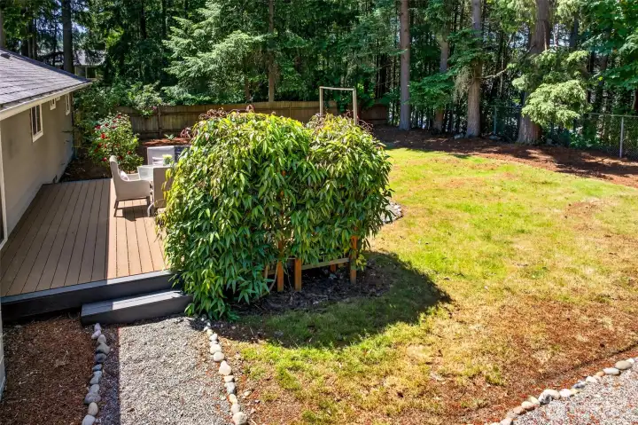 A tall privacy hedge and surrounding evergreens wrap the yard in seclusion, while gravel pathways and the deck make the most of the home's serene, wooded lot.