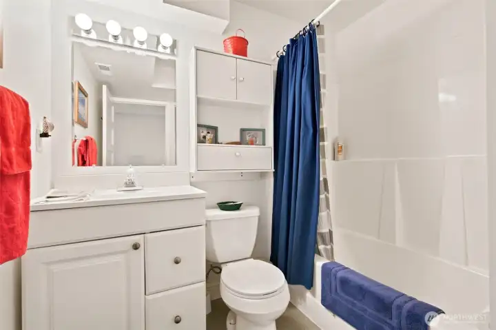 MAIN HOUSE - lower level guest bathroom