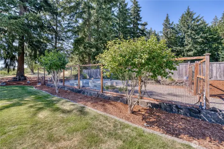 Fenced garden area with raised beds!  Seller says there is going to be a great crop of tomatoes this year!