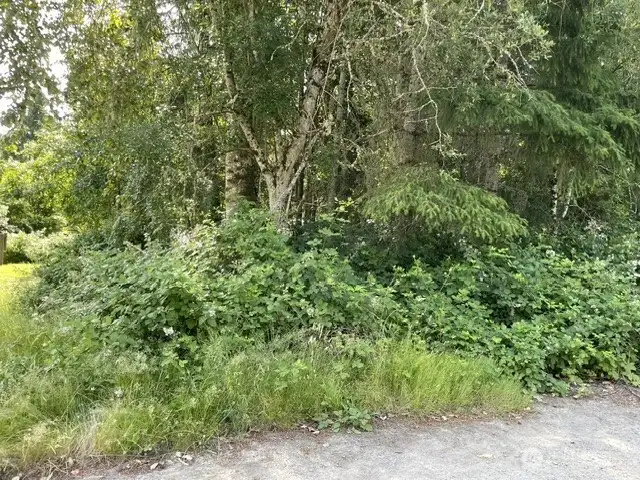 4 adjoining lots 4 adjoining lots