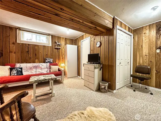 Basement finished room with 2 closet areas serves multiple uses