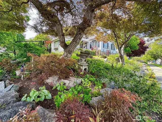 Layered rock terraces flow throughout the yard space, filled with vibrant plants and greenery that bring charm and character to every level