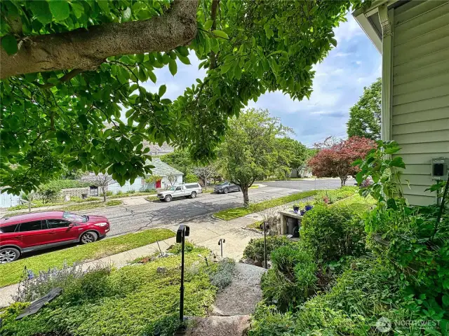 Beautiful tree lined streets with sidewalks And access to scenic walking/jogging, hiking, biking trails out your front door Candy Point Trail and 6 mile Down River Trail