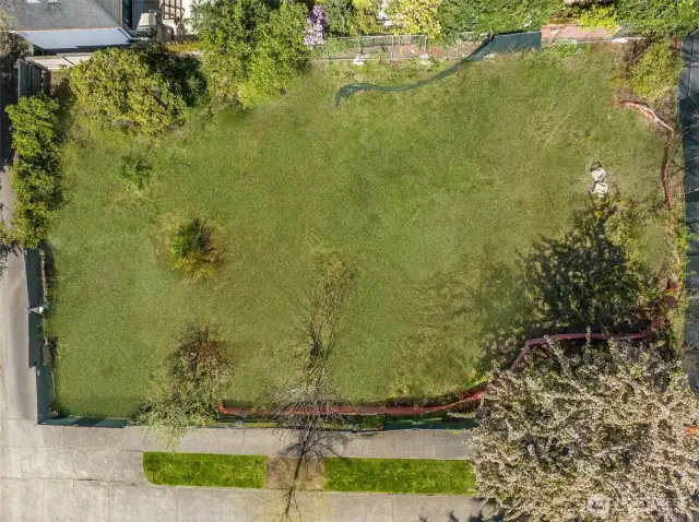 Large lot, clear of any structures, and ready for your vision to come to life!