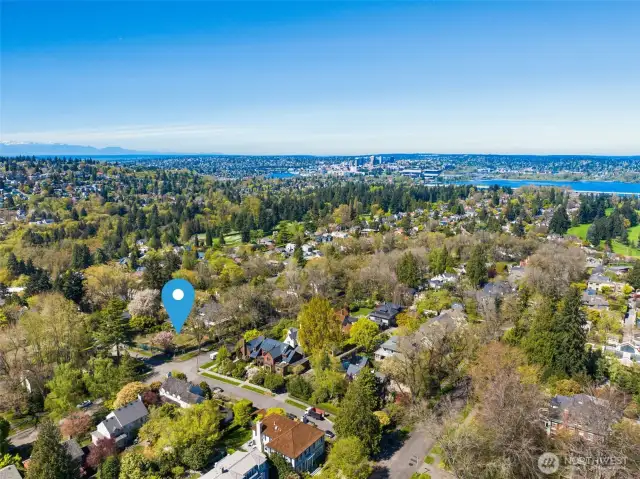 All that separates you from the water is a 230 acre oasis known as the Washington Park Arboretum