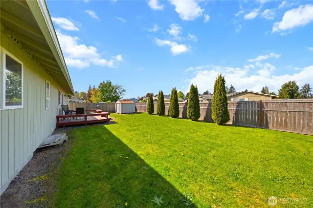 Backyard.  Fully fenced yard