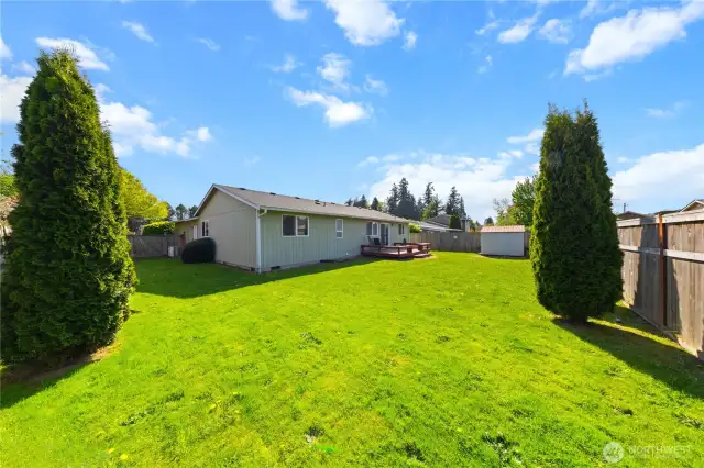 Backyard & side yard - fully fenced yard.