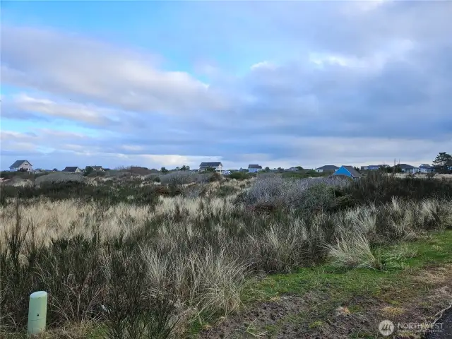 Standing at SW corner of property, looking to NE.
