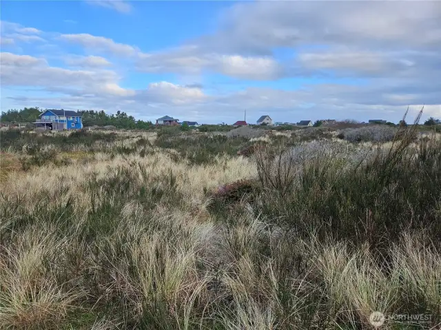 Standing at SE corner of property, looking to NW.