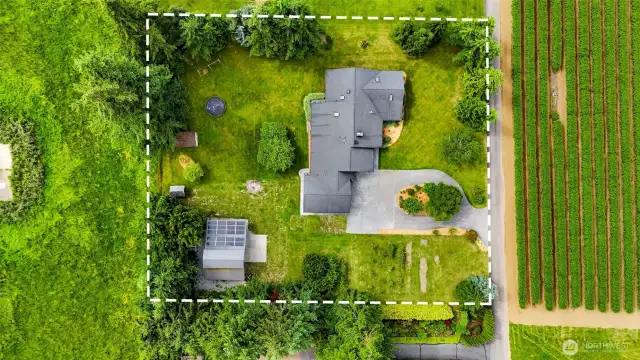 Mature fruit trees, detached shop, chicken run and nesting shed.