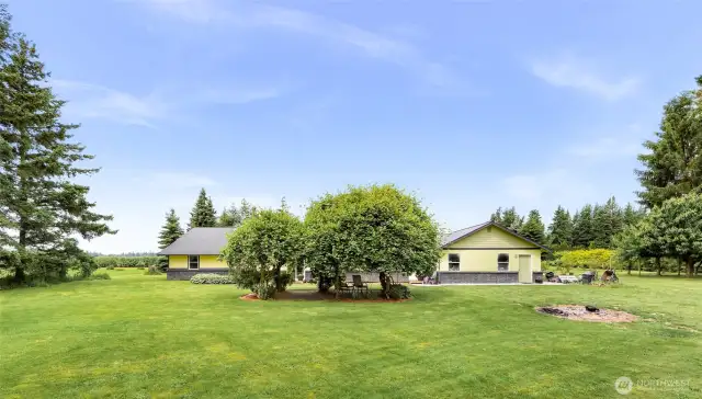Beautiful backyard with pergola, kiwi trees, big swing set, storage sheds, and full set up to keep chickens with laying beds and a chicken run.
