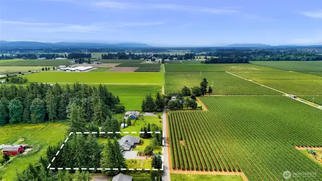 Amazing location, with great neighbors, large lots, flat land which feels open, and private with the placement of privacy trees around the property.