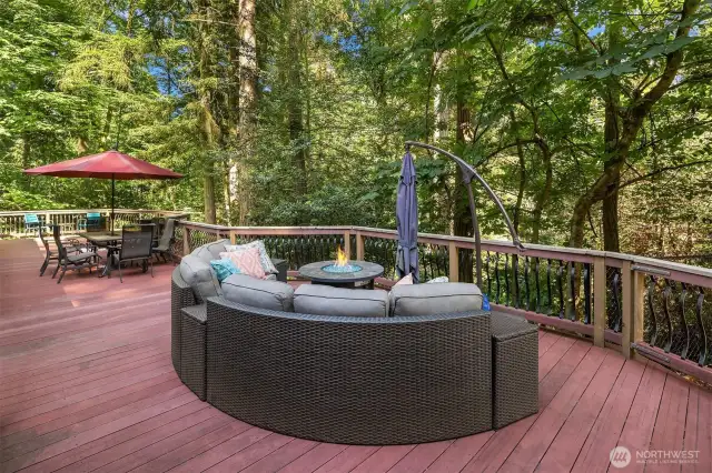 Northern deck onlooking a lush forest.