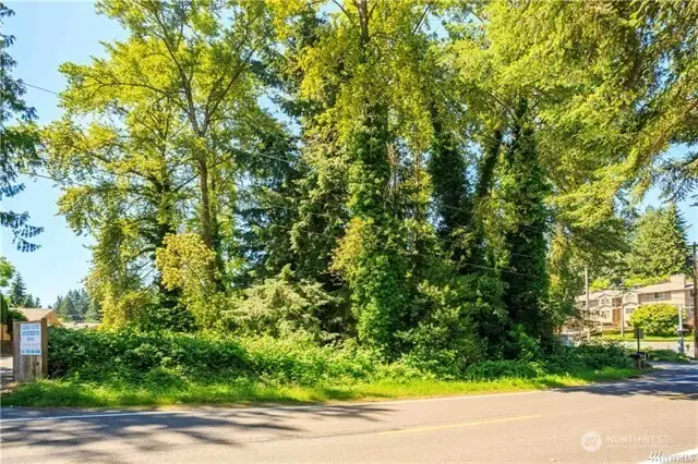 No wetlands here! Just some trees that you can keep for shade and morning birdsong or obtain a permit for removal