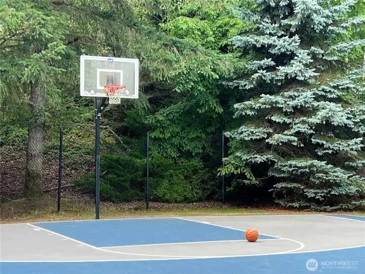 The Silver Firs neighborhood offers multiple sports courts, including this basketball court conveniently located near the home. A great spot for some friendly competition.