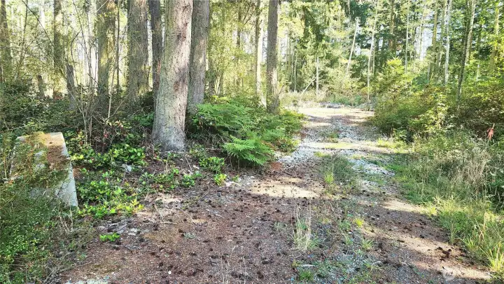 Level, 1.25+ acres