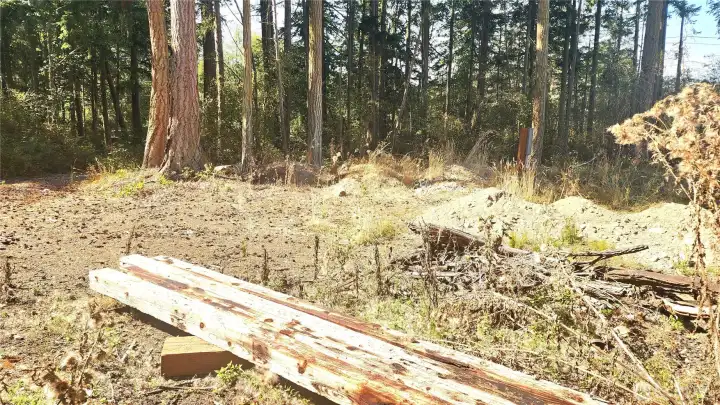 Building material, soil feasibility for septic done