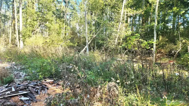 Quiet and Sunny