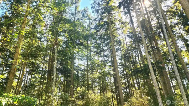 Quiet and Peaceful