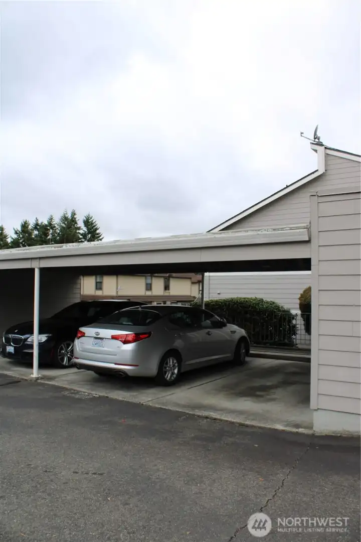 cover parking