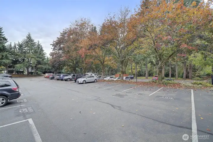 Look at the size of this parking lot!  Reserved deeded spaces for unit owners, plus many visitor spaces to accommodate your friends and family.  The deeded space for Unit #1315 is the second spot from the building, #160.