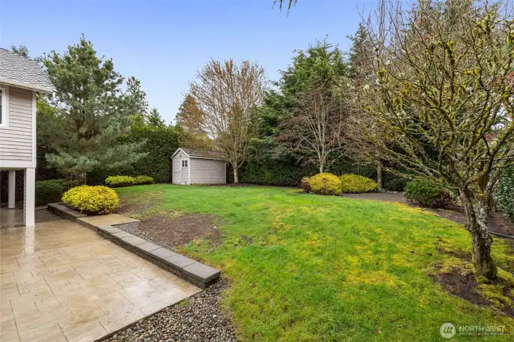 The grass is growing back after the crows were looking for bugs