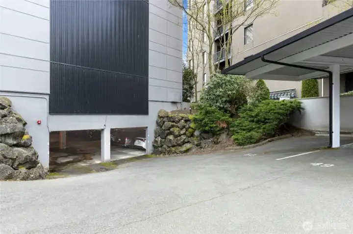 Outdoor covered space #50