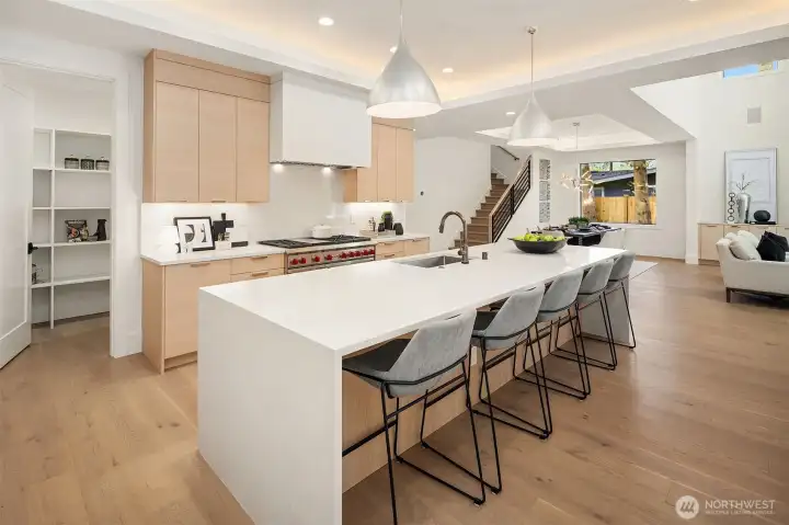 Chef's kitchen