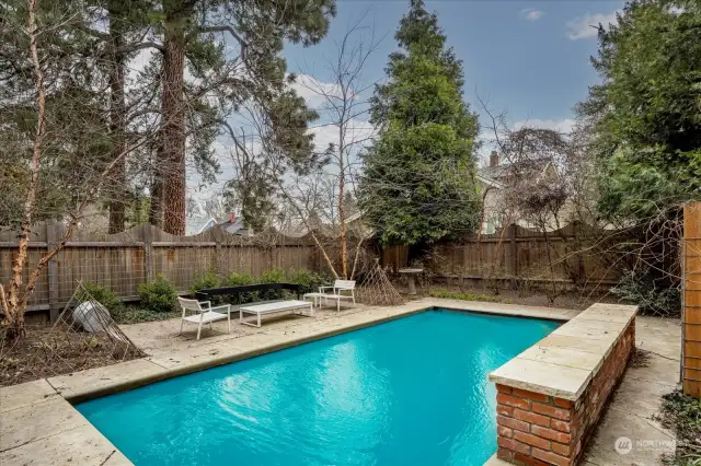 Private Yard - Great patio & pool to entertain