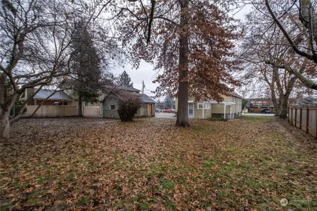 from back of 918 (W end) looking toward Morris and where access will come through garage