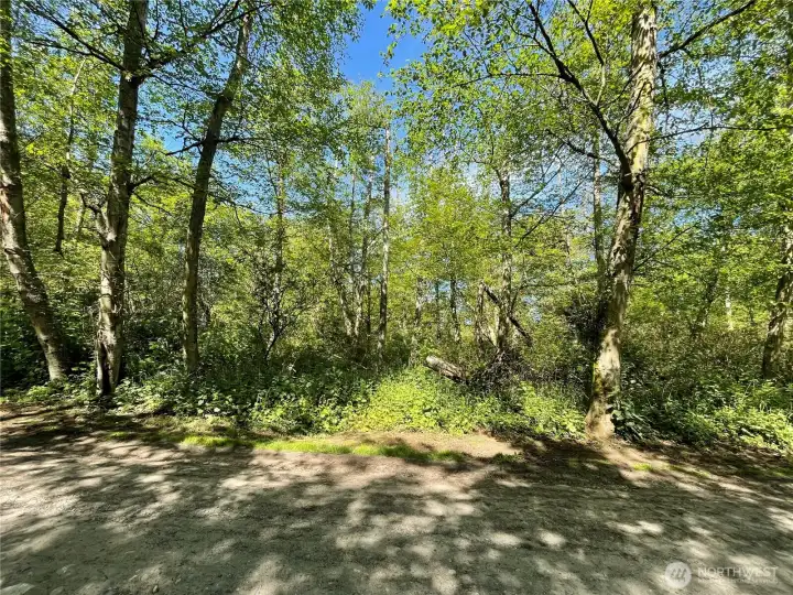 F-89 Tulalip Way Hat Island