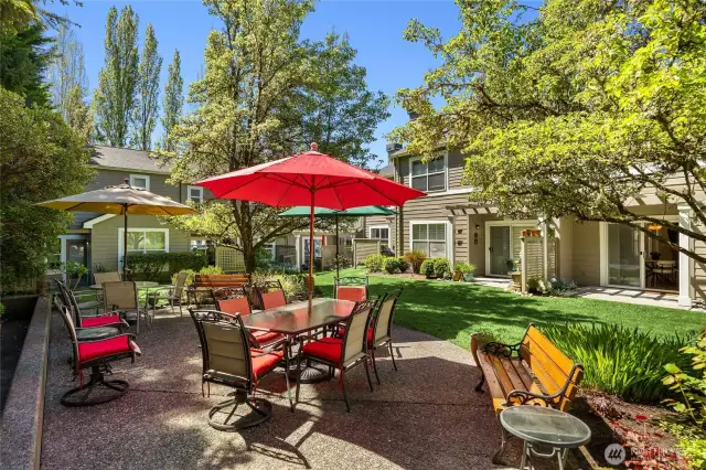 Community patio to barbecue or relax and enjoy nature