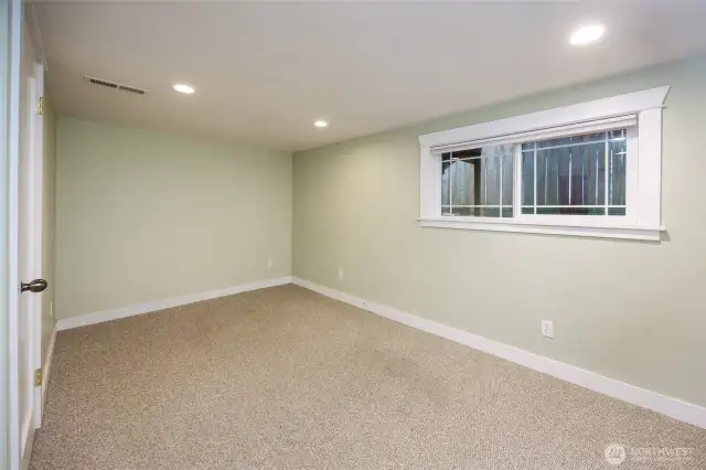 Lower level bedroom