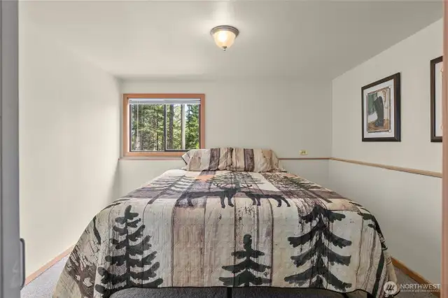 Lower level non-conforming bedroom