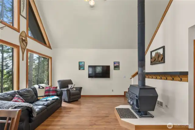 Living room and fireplace