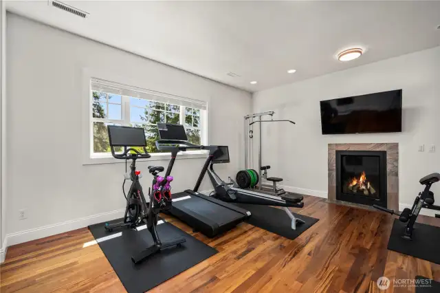 Office/gym, possible 5th bedroom (no closet)
