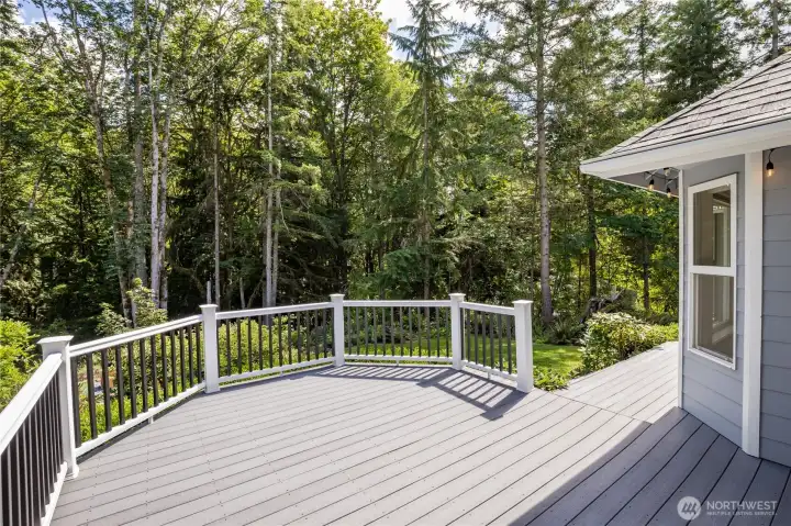 Entertainment-sized deck across the back of the house