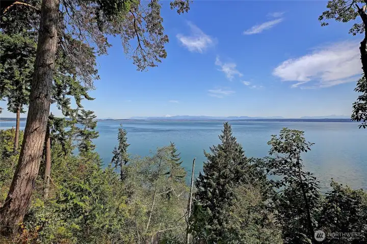 Experience the magic of whale watching right from your own patio. From this incredible vantage point, you can spot orcas and gray whales as they make their seasonal journeys through Port Susan, with eagles soaring overhead and the Sound sparkling in the sunlight. Every day brings a new show across the water.